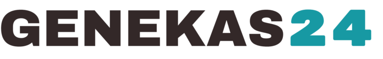 kontakt